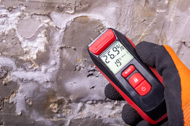 Best Post-Flood Mold Remediation in Versailles, MO